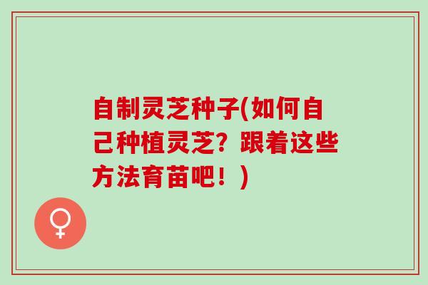 自制灵芝种子(如何自己种植灵芝?跟着这些方法育苗吧!) 自制灵芝种子(如何自己种植灵芝?跟着这些方法育苗吧!)