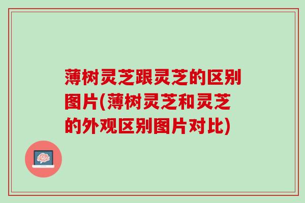 薄树灵芝跟灵芝的区别图片(薄树灵芝和灵芝的外观区别图片对比)