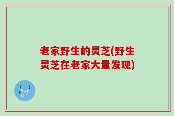 老家野生的灵芝(野生灵芝在老家大量发现)
