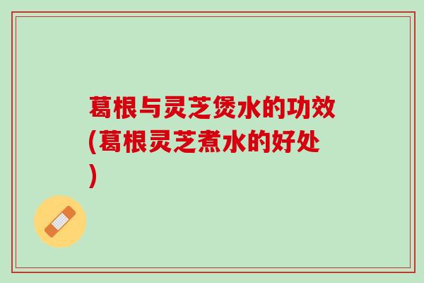 葛根与灵芝煲水的功效(葛根灵芝煮水的好处)