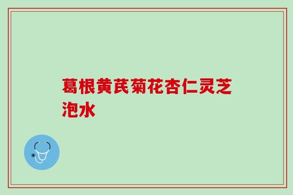 葛根黄芪菊花杏仁灵芝泡水