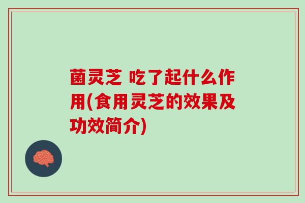 菌灵芝 吃了起什么作用(食用灵芝的效果及功效简介)