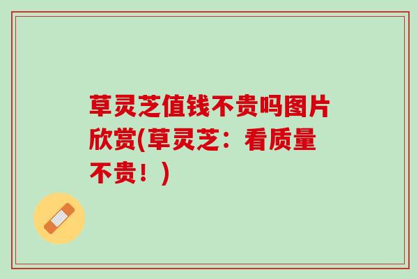 草灵芝值钱不贵吗图片欣赏(草灵芝：看质量不贵！)