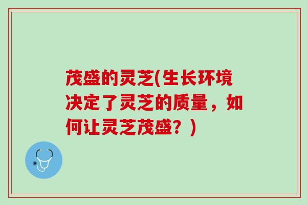 茂盛的灵芝(生长环境决定了灵芝的质量，如何让灵芝茂盛？)