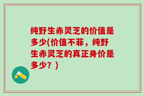 纯野生赤灵芝的价值是多少(价值不菲,纯野生赤灵芝的真正身价是多少?) 纯野生赤灵芝的价值是多少(价值不菲,纯野生赤灵芝的真正身价是多少?)