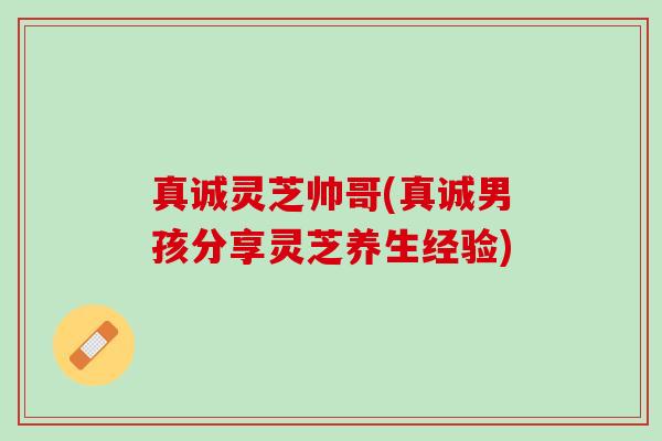真诚灵芝帅哥(真诚男孩分享灵芝养生经验)
