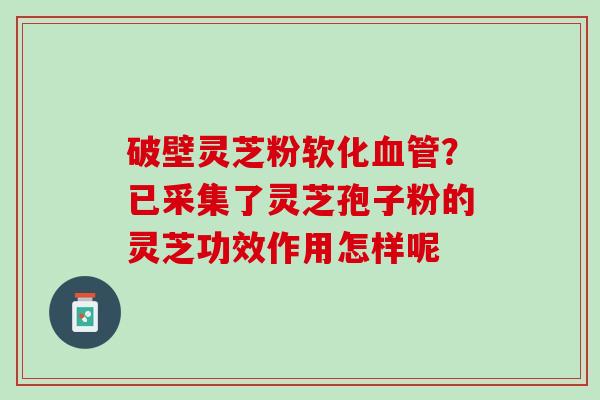 破壁灵芝粉软化血管？已采集了灵芝孢子粉的灵芝功效作用怎样呢