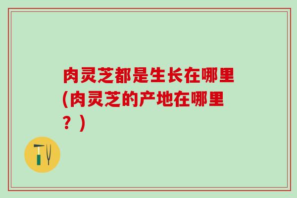 肉灵芝都是生长在哪里(肉灵芝的产地在哪里？)
