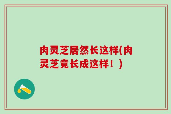 肉灵芝居然长这样(肉灵芝竟长成这样！)