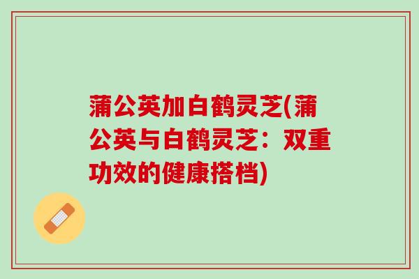 蒲公英加白鹤灵芝(蒲公英与白鹤灵芝：双重功效的健康搭档)