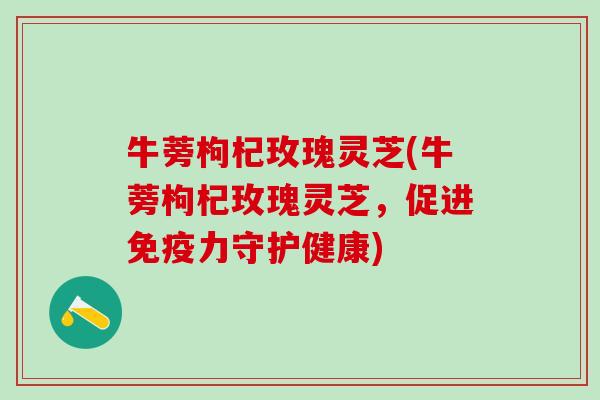 牛蒡枸杞玫瑰灵芝(牛蒡枸杞玫瑰灵芝,促进免疫力守护健康) 牛蒡枸杞玫瑰灵芝(牛蒡枸杞玫瑰灵芝,促进免疫力守护健康)