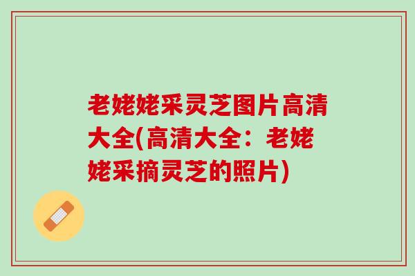 老姥姥采灵芝图片高清大全(高清大全：老姥姥采摘灵芝的照片)