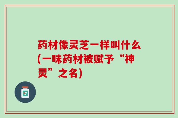药材像灵芝一样叫什么(一味药材被赋予“神灵”之名)
