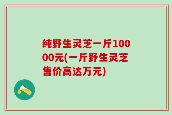 纯野生灵芝一斤10000元(一斤野生灵芝售价高达万元)
