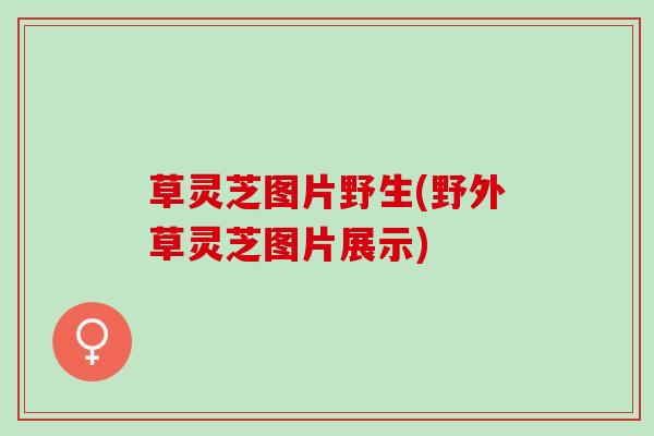 草灵芝图片野生(野外草灵芝图片展示)