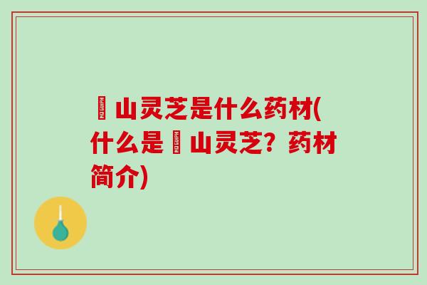 矷山灵芝是什么药材(什么是矷山灵芝？药材简介)