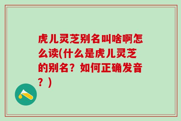 虎儿灵芝别名叫啥啊怎么读(什么是虎儿灵芝的别名？如何正确发音？)