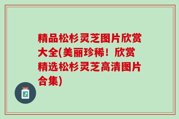 精品松杉灵芝图片欣赏大全(美丽珍稀!欣赏精选松杉灵芝高清图片合集) 精品松杉灵芝图片欣赏大全(美丽珍稀!欣赏精选松杉灵芝高清图片合集)