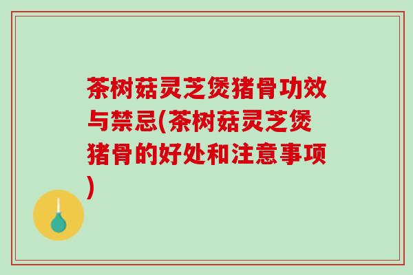 茶树菇灵芝煲猪骨功效与禁忌(茶树菇灵芝煲猪骨的好处和注意事项) 茶树菇灵芝煲猪骨功效与禁忌(茶树菇灵芝煲猪骨的好处和注意事项)