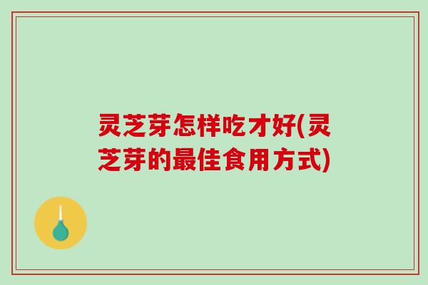 灵芝芽怎样吃才好(灵芝芽的最佳食用方式)