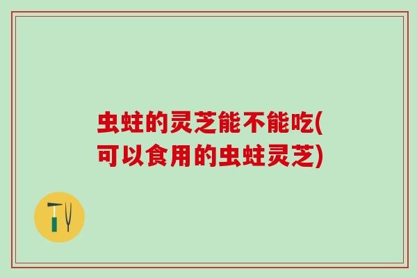 虫蛀的灵芝能不能吃(可以食用的虫蛀灵芝)