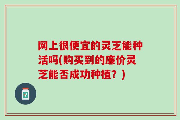 网上很便宜的灵芝能种活吗(购买到的廉价灵芝能否成功种植？)