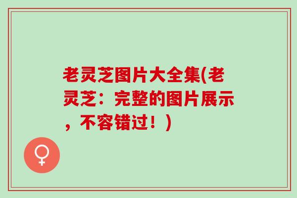 老灵芝图片大全集(老灵芝:完整的图片展示,不容错过!) 老灵芝图片大全集(老灵芝:完整的图片展示,不容错过!)
