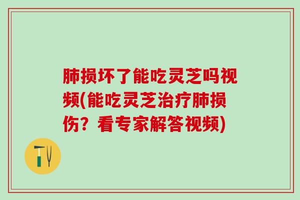 肺损坏了能吃灵芝吗视频(能吃灵芝治疗肺损伤？看专家解答视频)