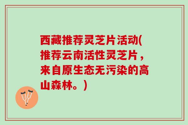 西藏推荐灵芝片活动(推荐云南活性灵芝片，来自原生态无污染的高山森林。)