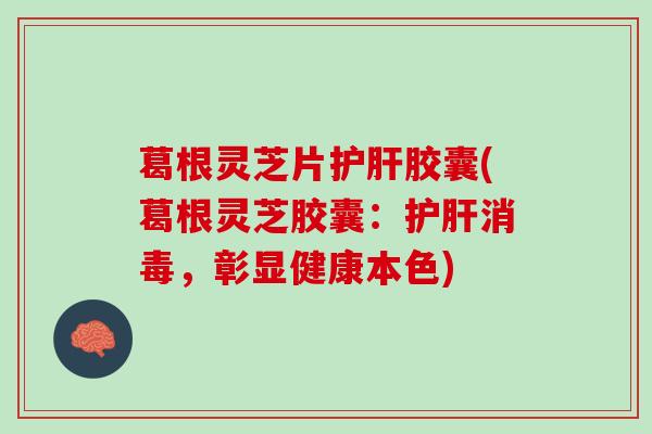 葛根灵芝片护肝胶囊(葛根灵芝胶囊：护肝消毒，彰显健康本色)
