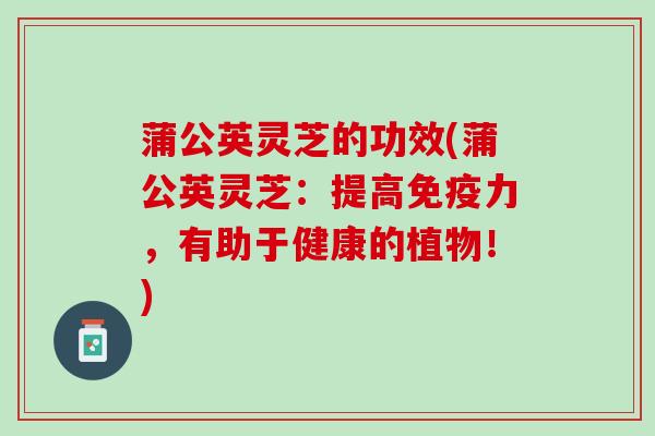蒲公英灵芝的功效(蒲公英灵芝：提高免疫力，有助于健康的植物！)