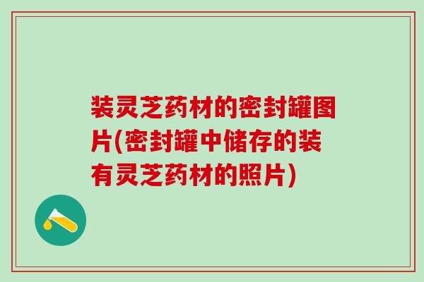 装灵芝药材的密封罐图片(密封罐中储存的装有灵芝药材的照片)