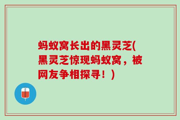 蚂蚁窝长出的黑灵芝(黑灵芝惊现蚂蚁窝，被网友争相探寻！)