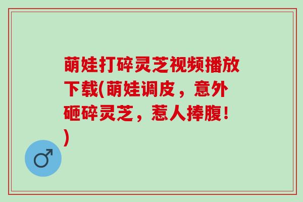 萌娃打碎灵芝视频播放下载(萌娃调皮，意外砸碎灵芝，惹人捧腹！)