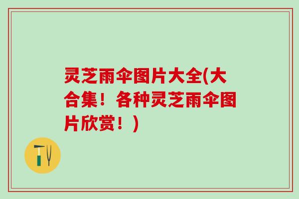 灵芝雨伞图片大全(大合集！各种灵芝雨伞图片欣赏！)