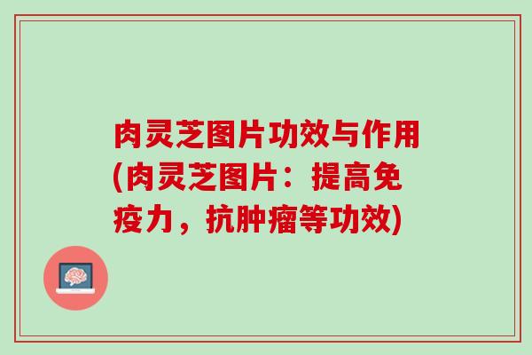 肉灵芝图片功效与作用(肉灵芝图片：提高免疫力，抗肿瘤等功效)