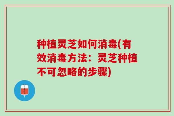 种植灵芝如何消毒(有效消毒方法：灵芝种植不可忽略的步骤)