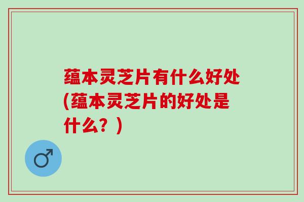 蕴本灵芝片有什么好处(蕴本灵芝片的好处是什么？)