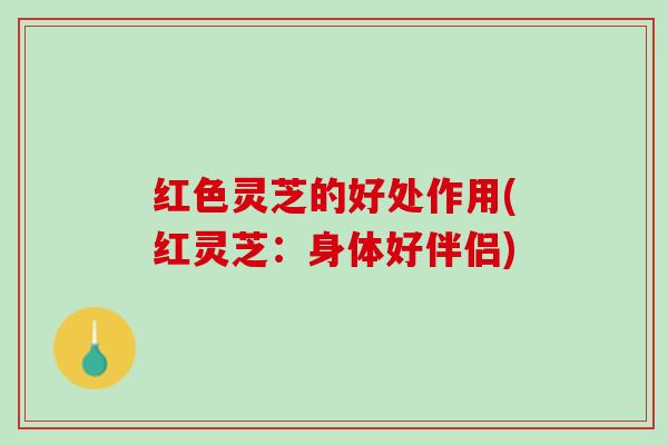 红色灵芝的好处作用(红灵芝：身体好伴侣)