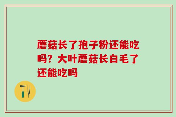 蘑菇长了孢子粉还能吃吗？大叶蘑菇长白毛了还能吃吗