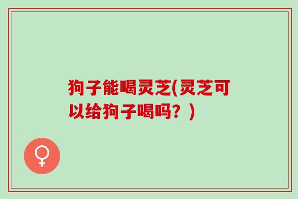 狗子能喝灵芝(灵芝可以给狗子喝吗？)