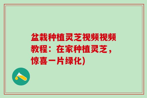 盆栽种植灵芝视频视频教程：在家种植灵芝，惊喜一片绿化)