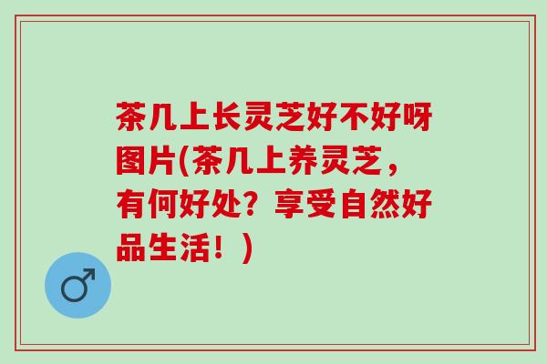 茶几上长灵芝好不好呀图片(茶几上养灵芝，有何好处？享受自然好品生活！)