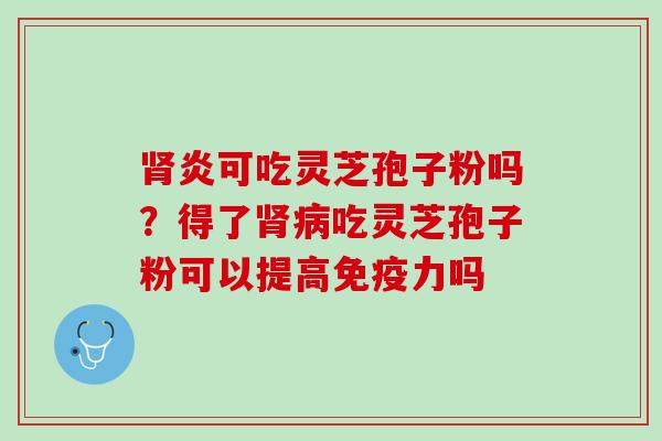 肾炎可吃灵芝孢子粉吗？得了肾病吃灵芝孢子粉可以提高免疫力吗