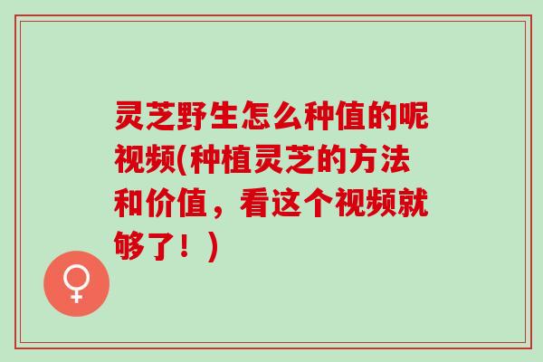 灵芝野生怎么种值的呢视频(种植灵芝的方法和价值,看这个视频就够了!) 灵芝野生怎么种值的呢视频(种植灵芝的方法和价值,看这个视频就够了!)