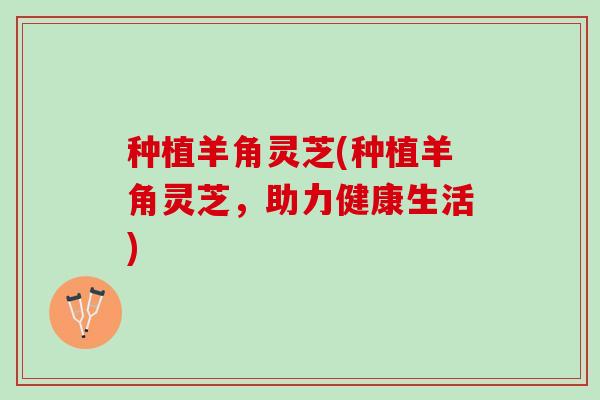 种植羊角灵芝(种植羊角灵芝，助力健康生活)
