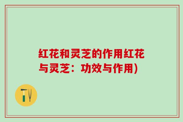 红花和灵芝的作用红花与灵芝：功效与作用)