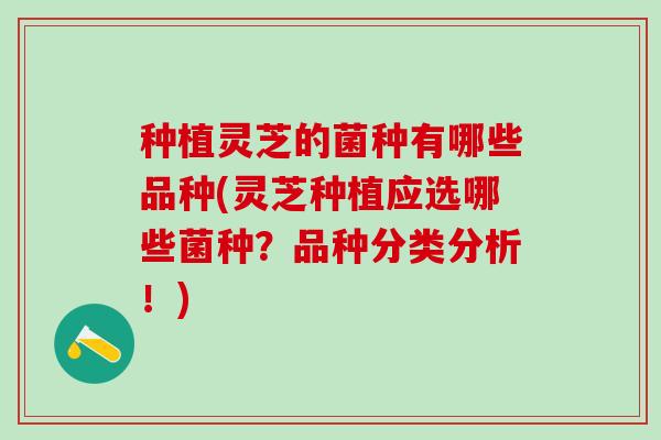 种植灵芝的菌种有哪些品种(灵芝种植应选哪些菌种？品种分类分析！)