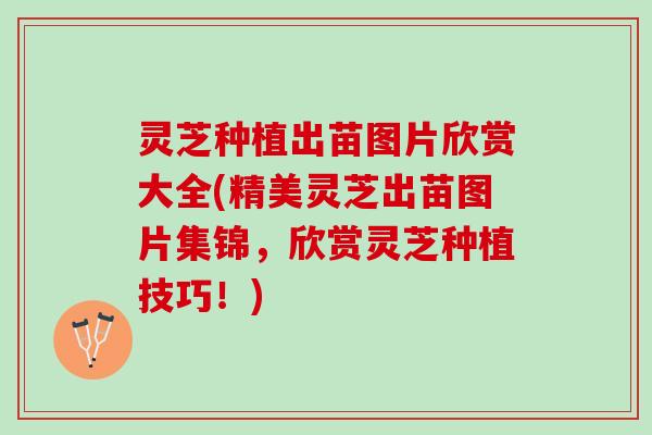 灵芝种植出苗图片欣赏大全(精美灵芝出苗图片集锦,欣赏灵芝种植技巧!) 灵芝种植出苗图片欣赏大全(精美灵芝出苗图片集锦,欣赏灵芝种植技巧!)