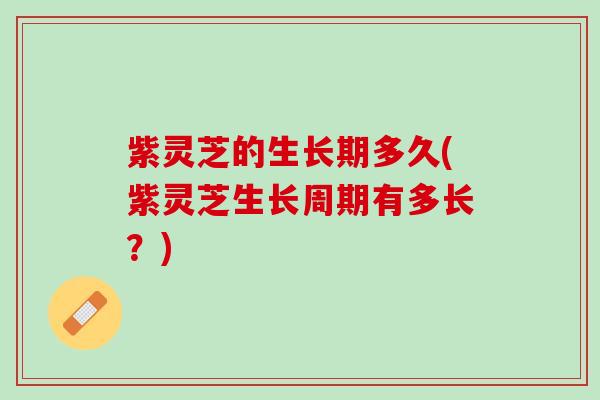 紫灵芝的生长期多久(紫灵芝生长周期有多长?) 紫灵芝的生长期多久(紫灵芝生长周期有多长?)